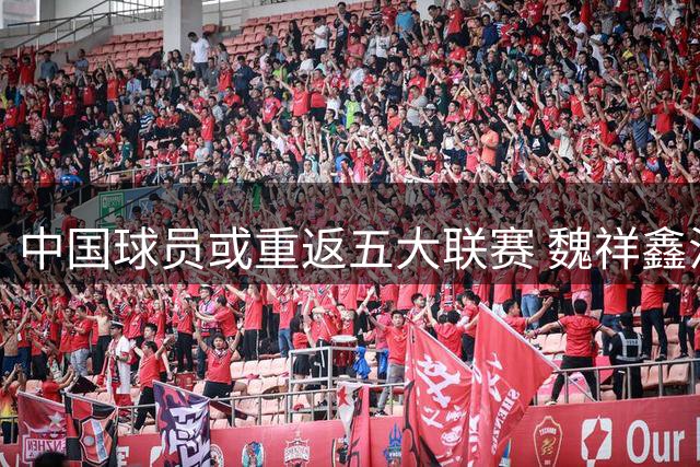 中国球员或重返五大联赛 魏祥鑫法甲首秀在即