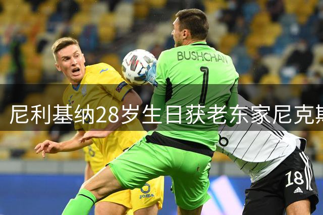 尼利基纳28岁生日获老东家尼克斯暖心祝福