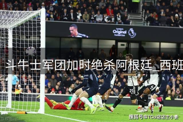 斗牛士军团加时绝杀阿根廷 西班牙时隔16年再夺世界杯