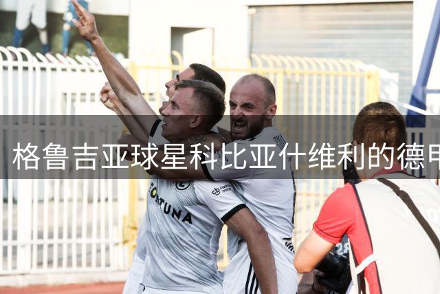 格鲁吉亚球星科比亚什维利的德甲传奇生涯